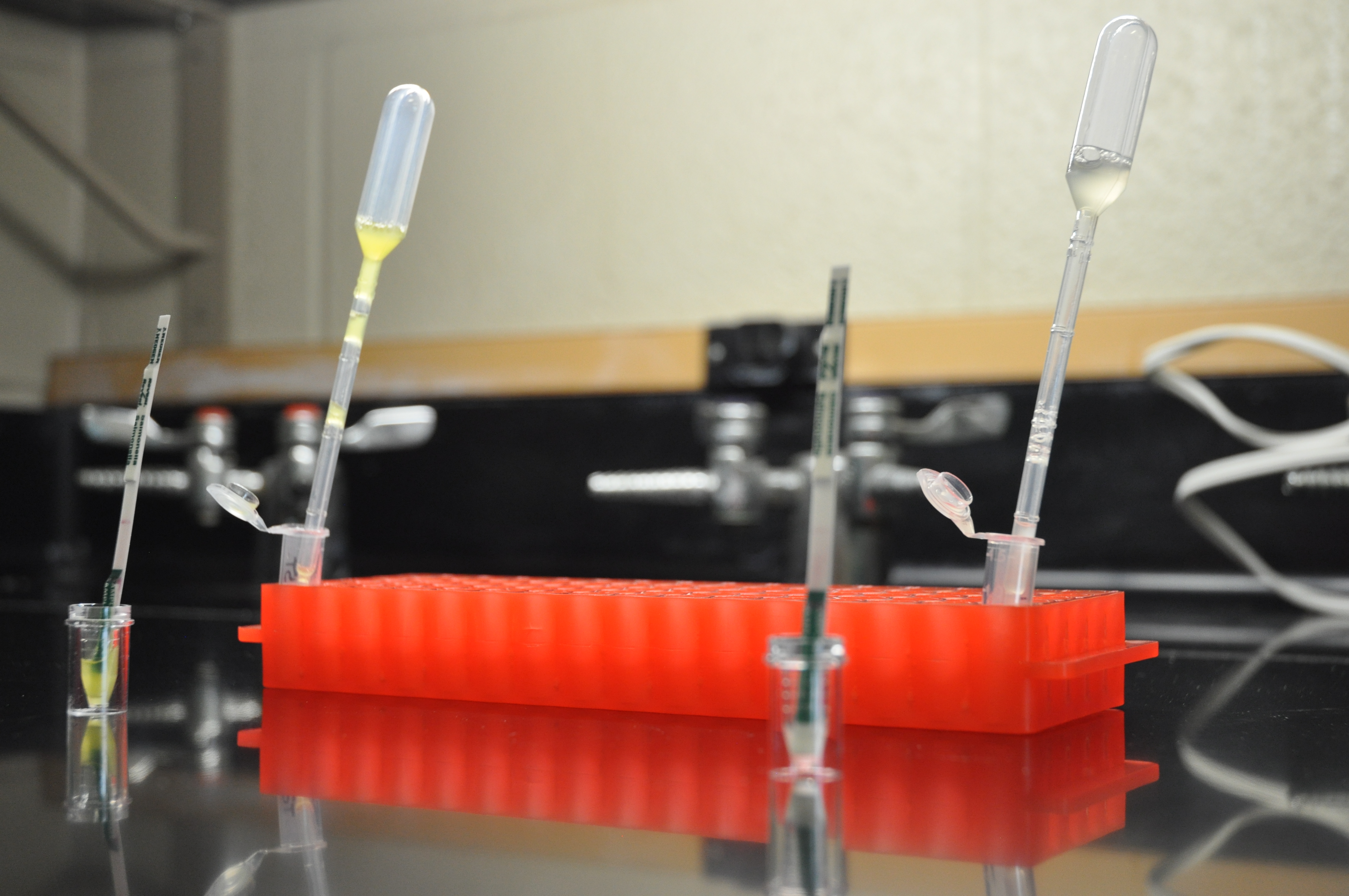 Dipstick Assay